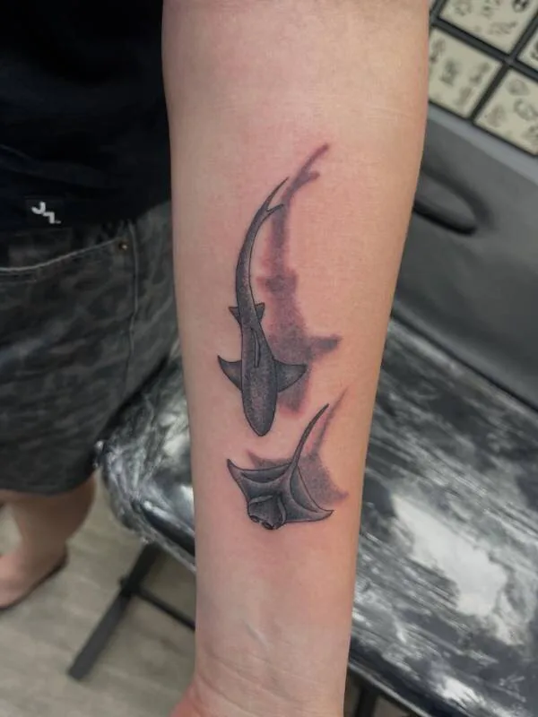 Black and grey tattoo of a shark above a smaller manta ray with a soft splash background, on the forearm, by Franky Sharpz at Wailana Tattoo, Waikiki, Hawaii.