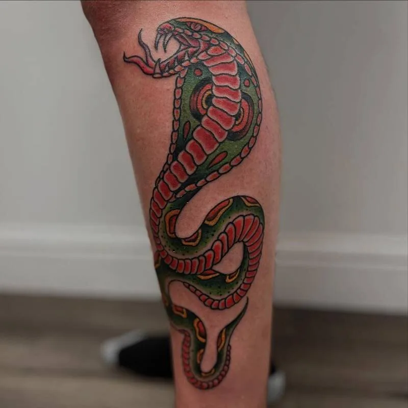 American Traditional color tattoo of a king cobra rising in S-curve with green body and red belly scales, on the calf, by Franky Sharpz at Wailana Tattoo, Waikiki, Hawaii.